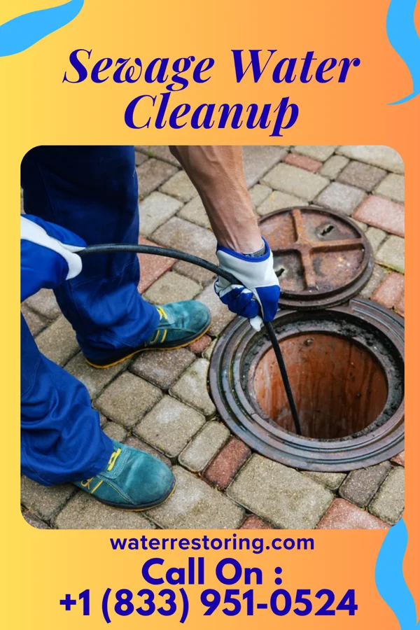 Sewage Water Cleanup in Black Rock, AR